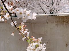 -龙美术馆(西岸馆)