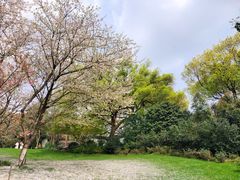 -中国茶叶博物馆(双峰馆区)