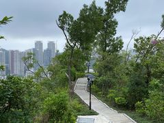 -板樟山森林公园