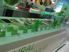 -Salud撒露欧洲冻酸奶(五道口购物中心店)