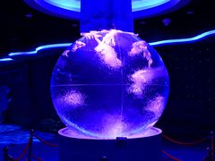 -石家庄极地海洋世界