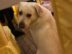 -朕悦鹧鸪饭私房菜