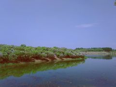 -丁香湖公园