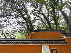 -普陀山风景名胜区-法雨禅寺