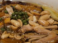 凉拌鸡-大蓉和(双楠店)