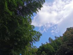 -藏龙百瀑风景区