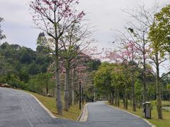 -东莞植物园