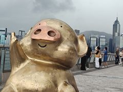 -星光大道