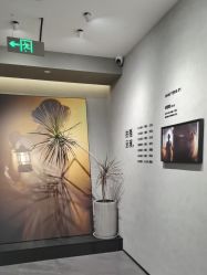 点击看大图 -大树儿童摄影