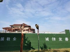 -大湾区中央湿地公园