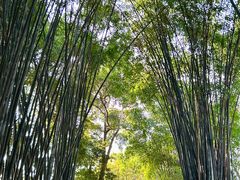 -成都杜甫草堂博物馆
