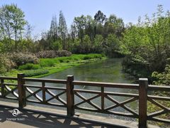 -桤木河湿地公园