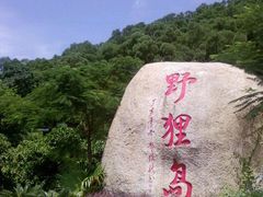 -野狸岛