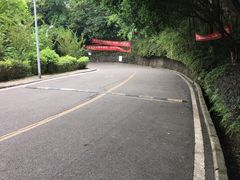 -南山植物园