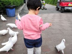 -国色天乡三期陆地乐园