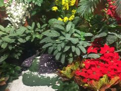 -新世界百货(顺义店)