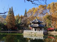 -习家池