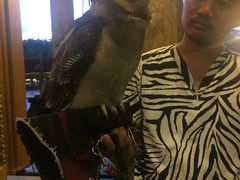 -清迈夜间动物园