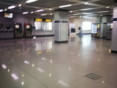 -大木桥路(地铁站)