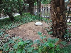 -龙达温泉生态城