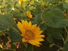 -无锡市市民中心