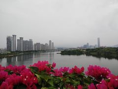 -厦门园林博览苑