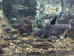 -萌宠奇缘(荣鼎店)