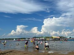 -呼兰河口湿地公园