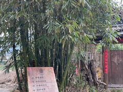 -盛龙生态风情园