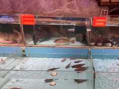 -饭怕鱼(阳光100店)