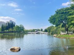 -映月湖公园