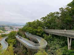 -福道