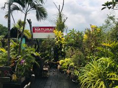 -自然餐厅(Phuket)