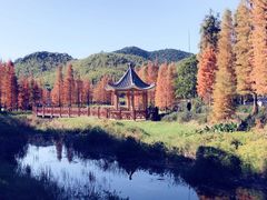 -广州市石门国家森林公园