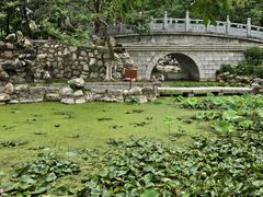 -莲湖公园