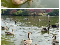 -杭州野生动物世界