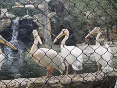 -石家庄市动物园