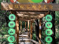 -大岭沟猕猴桃谷风景区