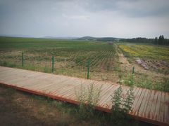 -塞罕坝国家级自然保护区