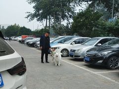 -宠福鑫康馨动物医院·骨科·眼科