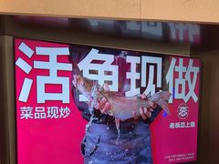 -老板恋上鱼(恒隆广场店)