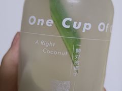 -椰不二(江北大洋百货店)