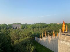 -大槐树寻根祭祖园