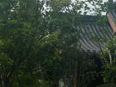 -江心屿景区