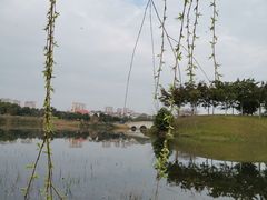 -眉山湿地公园(东坡区)