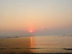 -渡海小渔村.老辈日照菜