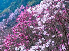 -九皇山景区