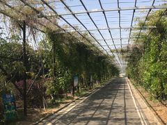 -武汉紫薇都市田园