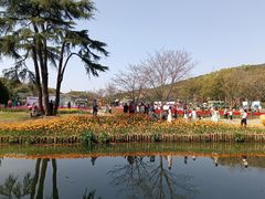 -无锡梅园公园