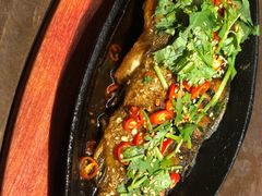 铁板烤鲫鱼-多寿小电烤